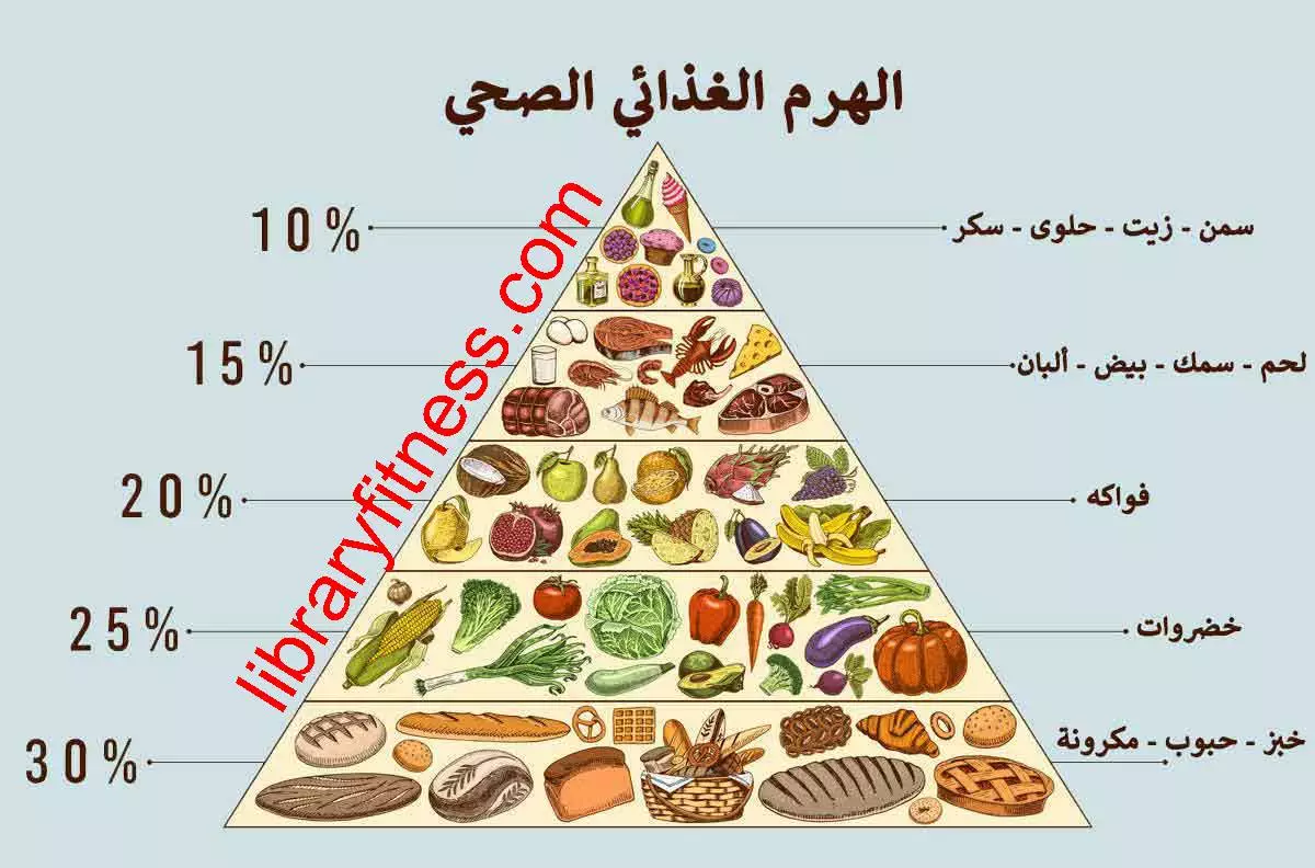 الهرم الغذائي162281225